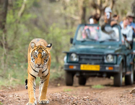 Golden Triangle Tour with Ranthambore National Park